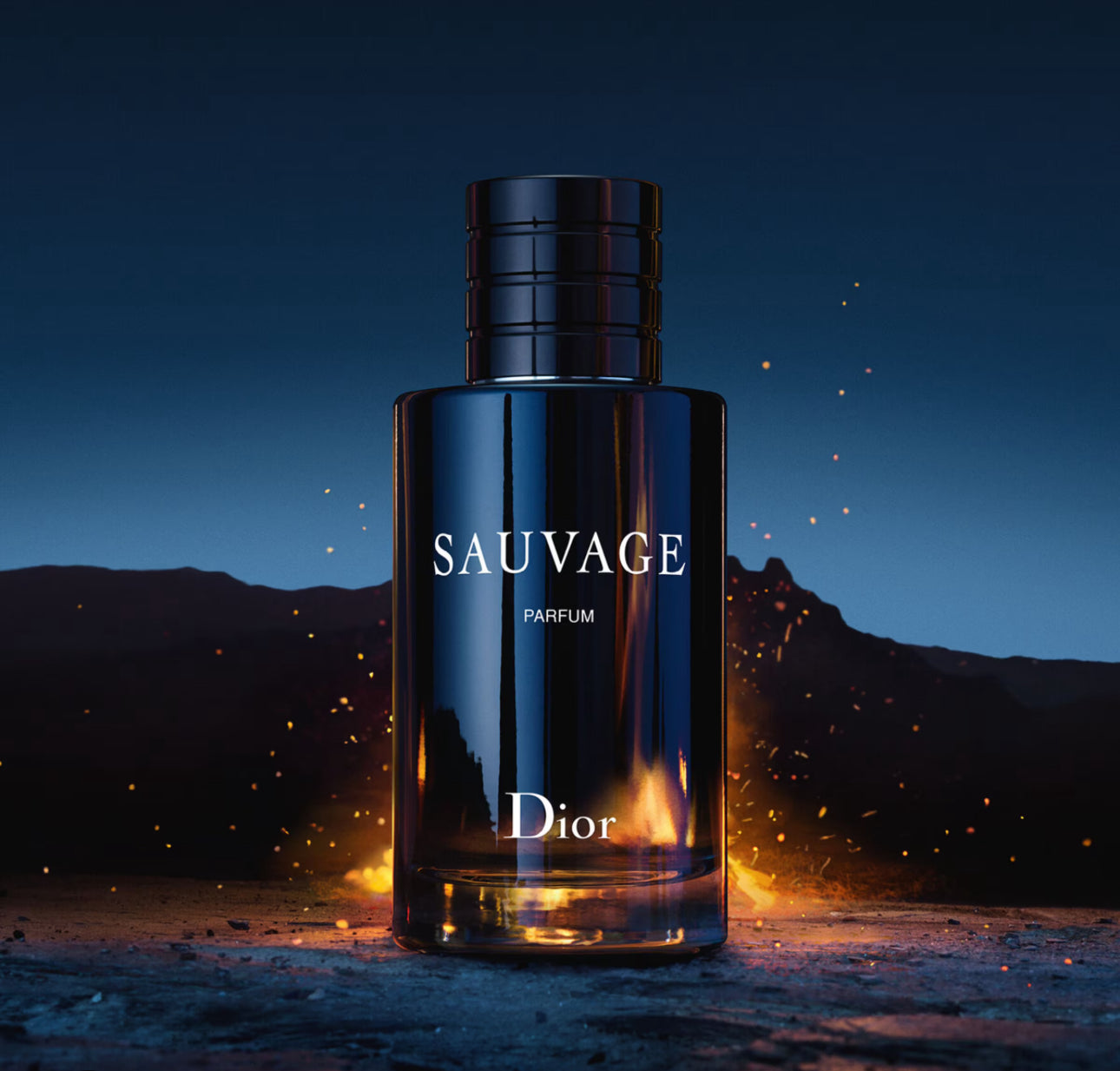 Sauvage Parfum 100ml spray for men